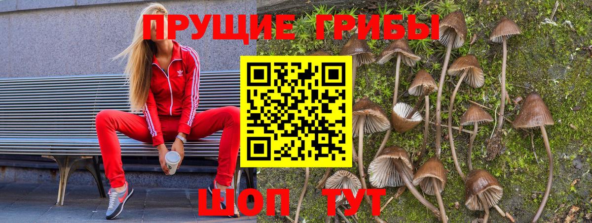 Галлюциногенные грибы Psilocybine cubensis  Вход с VPN  купить наркотик  Лесосибирск 
